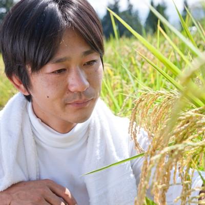 ふるさと納税 魚沼市 【毎月定期便】ツバメの飛び交う棚田米 精米2kg全6回 |  | 02