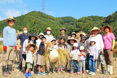 【令和6年新米・先行受付】ひのひかり ちぎり米 5kg【佐賀県産 米 コメ ヒノヒカリ 夢しずく 精米 白米】A6-F091001