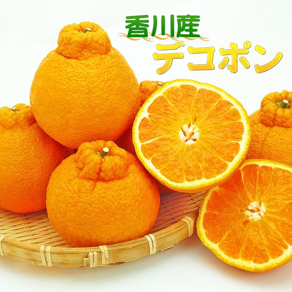 【ふるさと納税】香川のあま～いデコポン［不知火］3kgの詰め合わせ | 香川県 坂出市 香川 四国 楽天ふるさと 納税 返礼品 お取り寄せグルメ 取り寄せ グルメ 食品 フルーツ 果物 くだもの 柑橘 柑橘類 かんきつ類 かんきつ デコポン でこぽん ご自宅用 家庭用 お取り寄せ