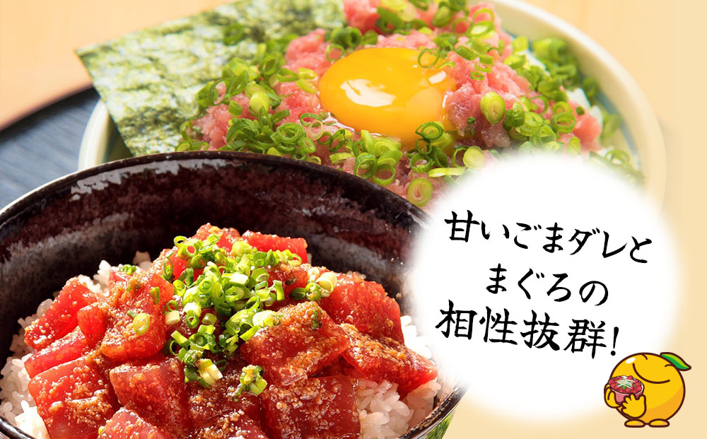 まぐろ漁師飯セット マグロ（ひゅうが丼）・ねぎとろセット ねぎとろ 鮪丼 まぐろ 大分県産 九州産 津久見市 熨斗対応【tsu000302】