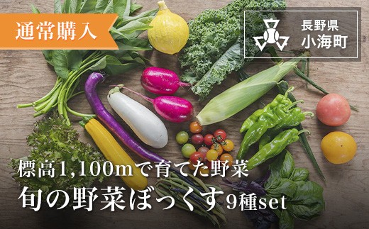 
            あとくら農園 旬の野菜ぼっくす9種セット| 野菜 新鮮 旬 新鮮 高原野菜 根菜 【 2026年発送 先行予約 】
          