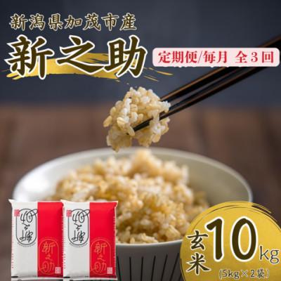 ふるさと納税 加茂市 【発送月固定定期便】新之助　玄米10kg　2026年10月上旬より順次発送全6回