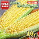 【ふるさと納税】【2025年発送】北海道富良野産　生で食べられるとうもろこし　ゴールドラッシュ　10本入り【配送不可地域：離島】【1286344】