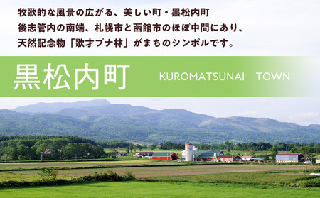 北海道 黒松内町☆応援寄付金☆【返礼品なし】100,000円分