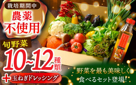 栽培期間中農薬不使用！旬のお野菜セット×手作り玉ねぎドレッシング（1本）　愛媛県大洲市/有限会社ヒロファミリーフーズ [AGBX001]