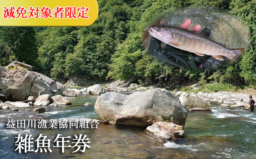 
            【令和7年】(減免対象者限定) 益田川雑魚年券 （3月1日(土)解禁） 渓流釣り 釣り券 釣り つり 下呂市 あまご いわな 2025年
          