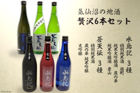 気仙沼の地酒 贅沢６本セット [齋新商店 宮城県 気仙沼市 20564287]