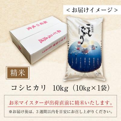 ふるさと納税 あわら市 【令和7年産】コシヒカリ 精米 10kg×1袋 《お米マイスターが発送直前に精米!》 |  | 03