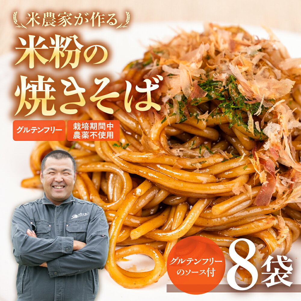 【ふるさと納税】米粉の焼きそば 8袋 (グルテンフリー　ソース付)　やきそば めん 麺 お取り寄せ グルメ 主食 米粉麺 送料無料 愛知県 豊橋市