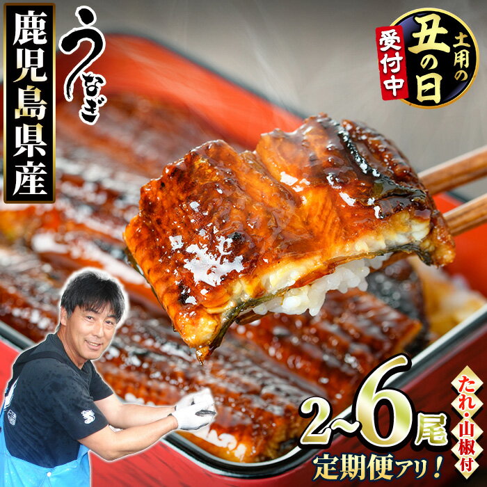 東串良町のうなぎ蒲焼(無頭) 2尾(320g以上・タレ、山椒付)