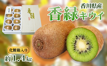 キウイ 香緑 化粧箱 香川県産 キウイ【1.4kg】