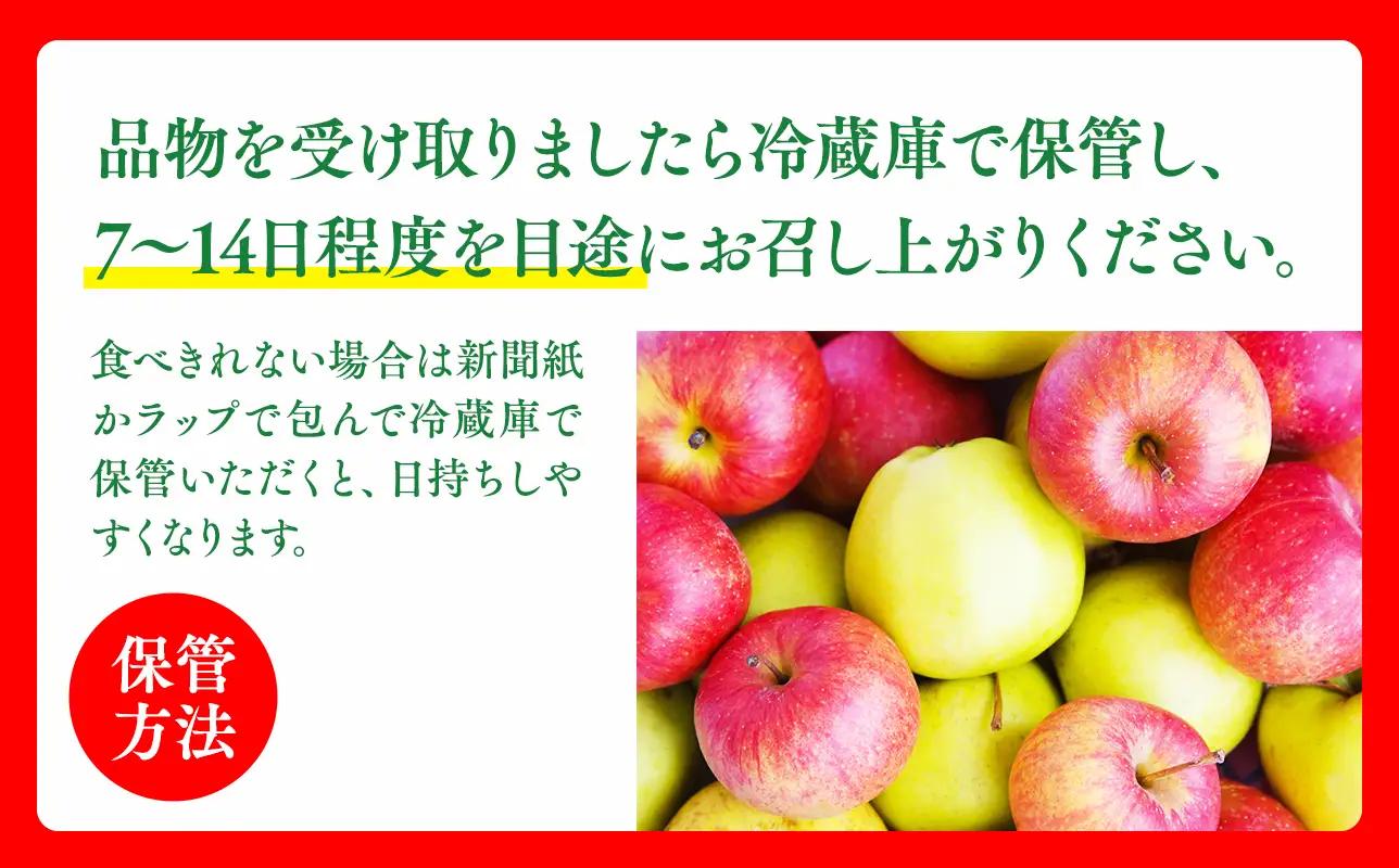【11月～順次発送】贈答用シナノゴールド3kg【今井農園】≪hi-0064-014≫