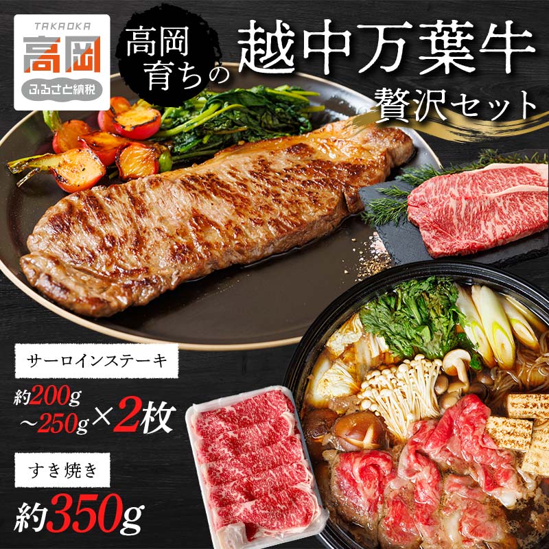 【ふるさと納税】高岡育ちの越中万葉牛 贅沢セット（すき焼き用約350g＋ステーキ用約200〜250g×2） サーロイン 牛 肉 ステーキ すきやき スキヤキ 国産 セット 牛肉 お肉 FAD-0078