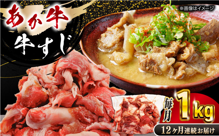 
【全12回定期便】 熊本あか牛スジ 1kg 【五右衛門フーズ】 [YBZ050]
