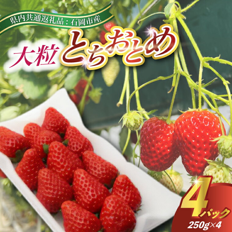 【ふるさと納税】【2025年12月より順次発送】お歳暮 とちおとめ大粒250g×4pc (県内共通返礼品:石岡市産)【配送不可地域：離島・沖縄県】 (BR012)