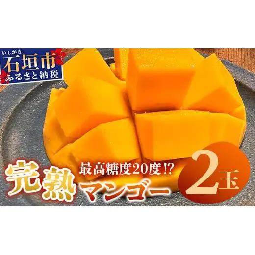 【先行予約】3Lサイズ 石垣島マンゴー 2玉約800g　TF-5-1_R8