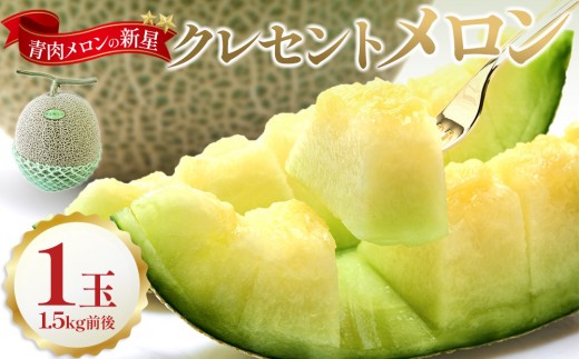 784.【先行予約】青肉メロンの新星「クレセントメロン」1.5kg前後×1玉　※2026年７月中旬より順次発送【メロン くだもの 果物 フルーツ 甘い 先行予約 鳥取県 北栄町 おすすめ 人気】