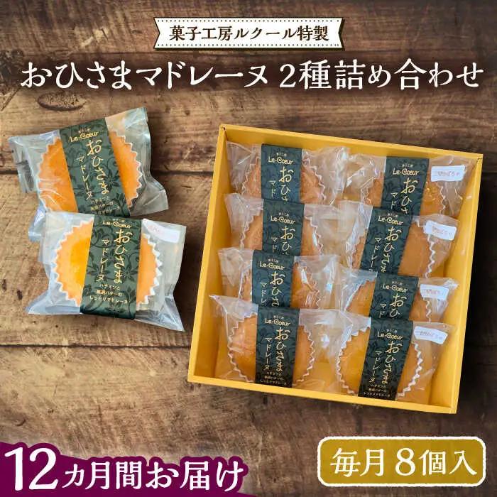 【全12回定期便】おひさまマドレーヌ 8個 詰め合わせ（プレーン4個 三毛門かぼちゃ4個）VBI029 マドレーヌ