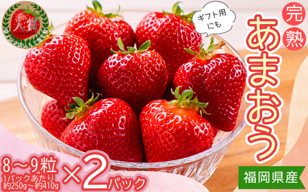暖家のいちご　ギフト用完熟あまおう（８粒～９粒）×2パック 3Z1-S