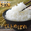 【ふるさと納税】 新米 令和6年産 ひとめぼれ 5kg 10kg 袋 便利 選べる ( 玄米 / 白米 ) お米 いわて 東北 コメ ブランド米 白飯 ごはん 炊飯 ランキング 国産 高級 一目惚れ 岩手県 金ケ崎町 送料無料