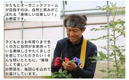 甘い葉付き人参 8kg かたもとオーガニックファーム 人参