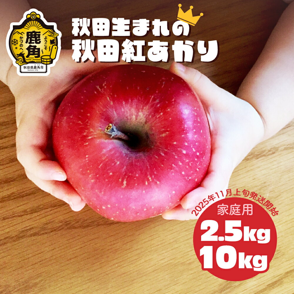 【ふるさと納税】《 先行予約 》 りんご 訳あり 秋田紅あかり 2.5kg / 10kg 秋田県限定 オリジナル品種 紅あかり 食感 果汁 さっぱり リンゴ 完熟 旬 県産りんご 林檎 お中元 お歳暮 贈り物 お見舞い グルメ ギフト 故郷 秋田 あきた 鹿角市 鹿角 送料無料 【ケーケー農園】