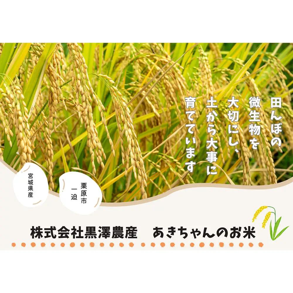 《令和7年産》【玄米】栗原市産 だて正夢 30kg （30kg×1袋） ブランド米 黒澤農産 宮城県 栗原市