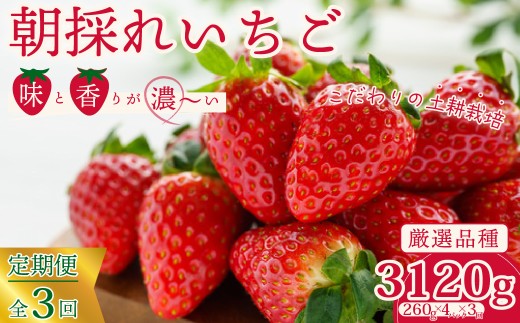 こだわりの土耕栽培で育てた味と香りが濃い苺を朝採れの新鮮なまま定期便にしてお届け