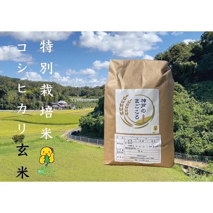 【ふるさと納税】令和7年産　新米　特別栽培米 神戸のまごころ コシヒカリ 玄米　5kg