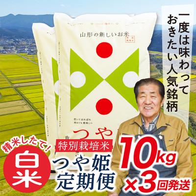 ふるさと納税 最上町 【毎月定期便】買い忘れなしで美味しい特別栽培米つや姫10kg(白米)が届く全3回
