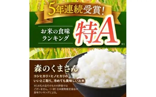 【 定期便 6回 】 熊本県産 白米 森のくまさん 10kg