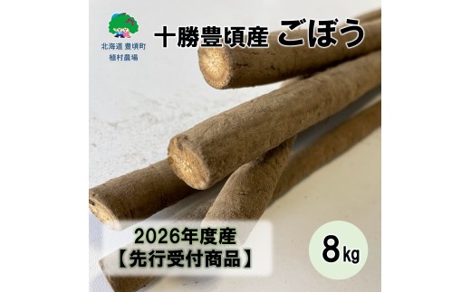 【秋掘り】十勝豊頃産ごぼう8.0kg 【2026年12月中旬出荷予定】（先行受付）【植村農場】