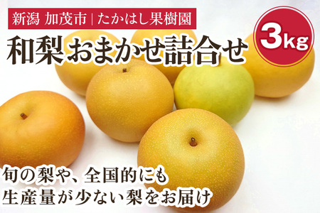 【2025年先行予約】たかはし果樹園 謹製 新潟県産和梨 内容おまかせ詰め合わせ 約3kg《9月上旬以降配送》果物 フルーツギフト セット 秋の味覚 産地直送加茂市 たかはし果樹園 梨 梨 梨 梨 梨