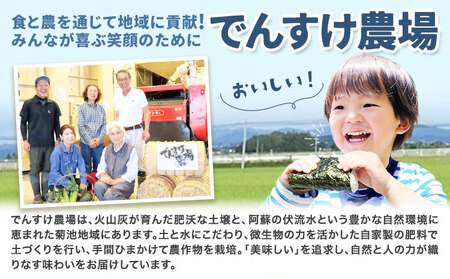 【3ヶ月定期便】令和7年産 精米 七城のこめ 5kg《お申込み翌月から出荷》熊本県 菊池市 米 白米 ヒノヒカリ でんすけ農場