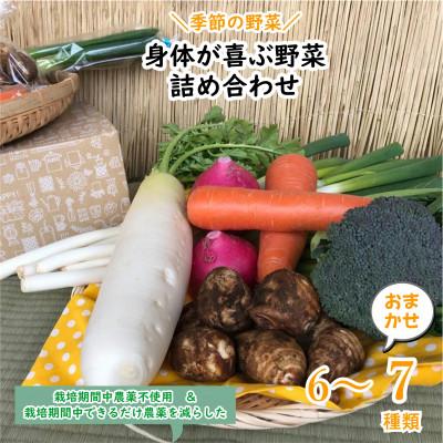 ふるさと納税 神栖市 【発送月固定定期便】【ハーフサイズ】『身体が喜ぶ野菜』季節の詰め合わせ(おまかせ6〜7品)全10回