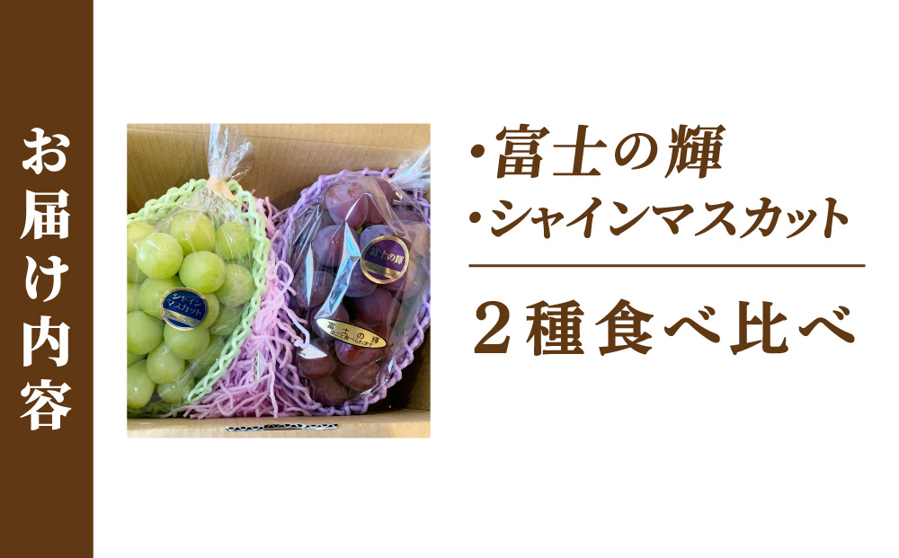 富士の輝・シャインマスカット食べ比べセット 大木町 フルーツ 果物 宝果FARM DC001