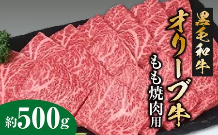 黒毛和牛オリーブ牛 もも焼肉用 約500ｇ_M18-0007