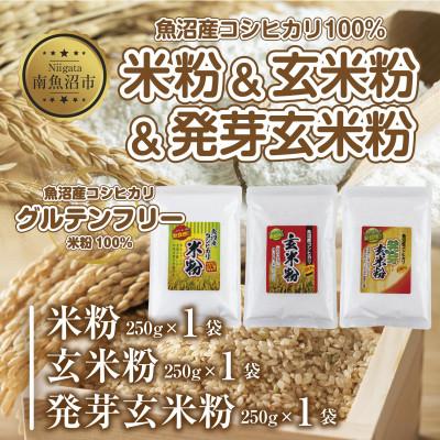 ふるさと納税 南魚沼市 新潟県産 米粉 発芽玄米粉 玄米粉 各250g 計750g コシヒカリ 小麦不使用 新潟県 南魚沼市