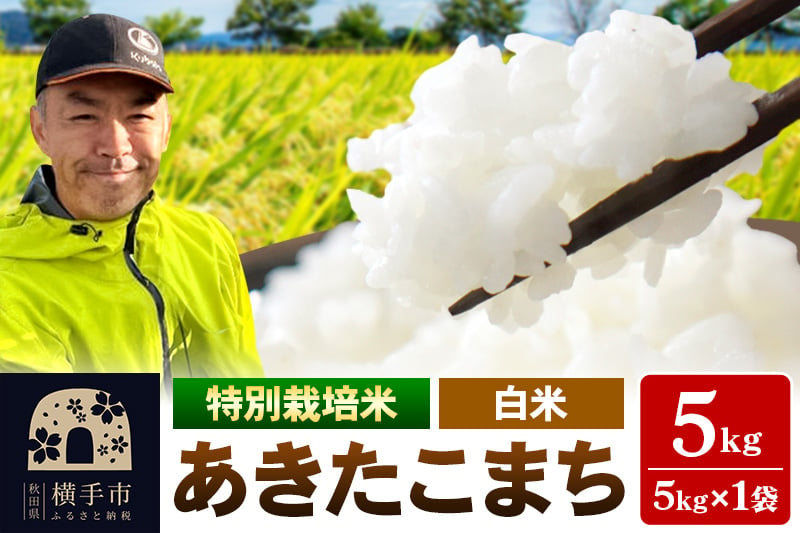 
秋田県 横手市 【白米】令和6年産 秋田県産 特別栽培米 あきたこまち 5kg（5kg×1袋）
