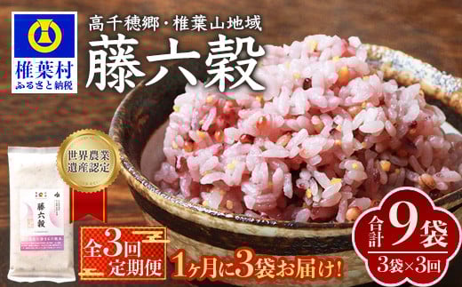 
            【3回定期便】【雑穀米】藤の花色に染まる美しい六穀米《藤六穀》300g×3袋 3回配送【世界農業遺産 高千穂郷・椎葉山地域】送料無料 定期便 定期 保存食 非常食 米 お米 ご飯 ご当地 贈り物 手土産 お土産 挨拶 祝い ギフト 父 母 栄養 健康 うるち米 たかきび 挽割とうもろこし もちあわ もち麦 黒米【TT-16】
          