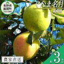 【ふるさと納税】 りんご ぐんま名月 家庭用 3kg 松澤農園 沖縄県への配送不可 令和6年度収穫分 長野県 飯綱町 〔 信州 果物 フルーツ リンゴ 林檎 長野 10500円 予約 農家直送 〕発送時期：2024年11月下旬～2025年1月上旬 {**}