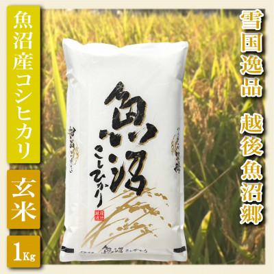 ふるさと納税 魚沼市 【雪国逸品 玄米1kg】越後魚沼郷 魚沼産コシヒカリ