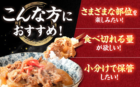 【3回定期便】肉ざんまい定期便 一人暮らし 少量 /黒毛和牛 牛肉 バラエティー 定期　【川﨑畜産】[IAX047]