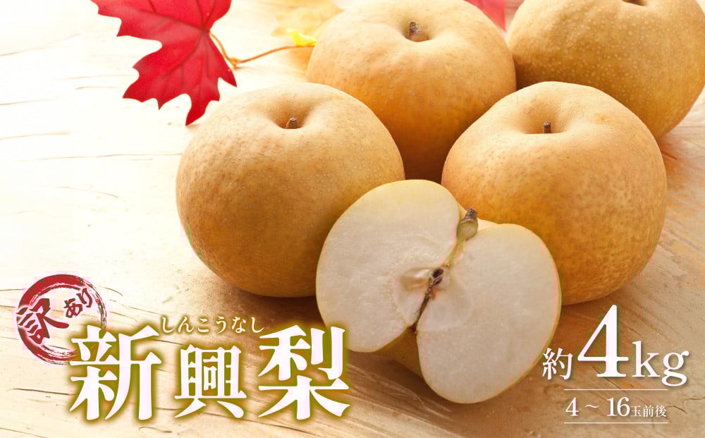 
            先行予約 訳あり 新興梨（しんこうなし）4kg｜鳥取 果物 フルーツ なし 梨 和梨 旬 訳アリ 数量限定【41043】
          