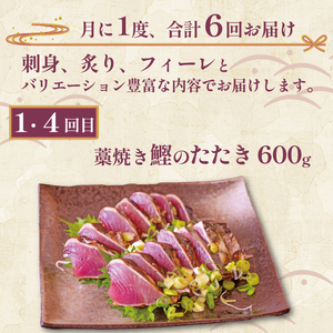 お刺身 定期便 6回 刺身 刺身 刺身 刺身 刺身 GK1000