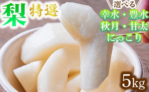 
                  【選べる】梨 特選 5kg 標準箱 幸水 豊水 秋月 甘太 にっこり｜ 栃木県産 果物 フルーツ　※離島への配送不可
                