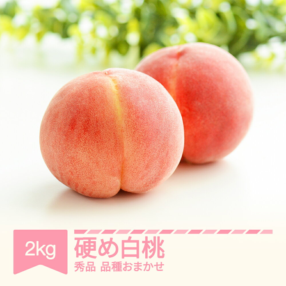 【ふるさと納税】先行予約 かため白桃おまかせ もも 桃 品種おまかせ 約2kg 令和7年産 2025年産 果物 送料無料 ※沖縄・離島への配送不可 si-mokox2