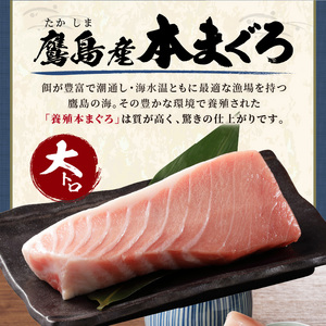 鷹島産本まぐろ 大トロ600g( マグロ まぐろ 本マグロ 本まぐろ 鮪 大トロ 冷凍 刺身 刺し身 海鮮 海の幸 魚 魚介 九州 長崎 松浦市 )【D5-005】