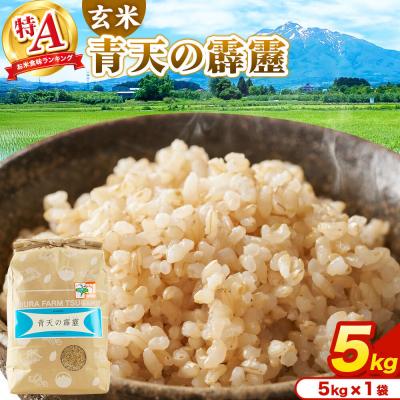 ふるさと納税 弘前市 米 青天の霹靂 玄米 5kg R7年産 特A|24_mft-110501