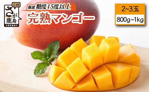 厳選 濃厚完熟!まっちゃん  マンゴー 糖度15度以上 2～3玉 合計約800g～1kg程度 L・2Lサイズ アップルマンゴー フルーツ 果物 生産者直送 佐賀県 鹿島市 国産 九州産 絶品 感動 濃厚 人気 大人気 送料無料 【2026年5月中旬頃から6月初旬発送予定】 B-406